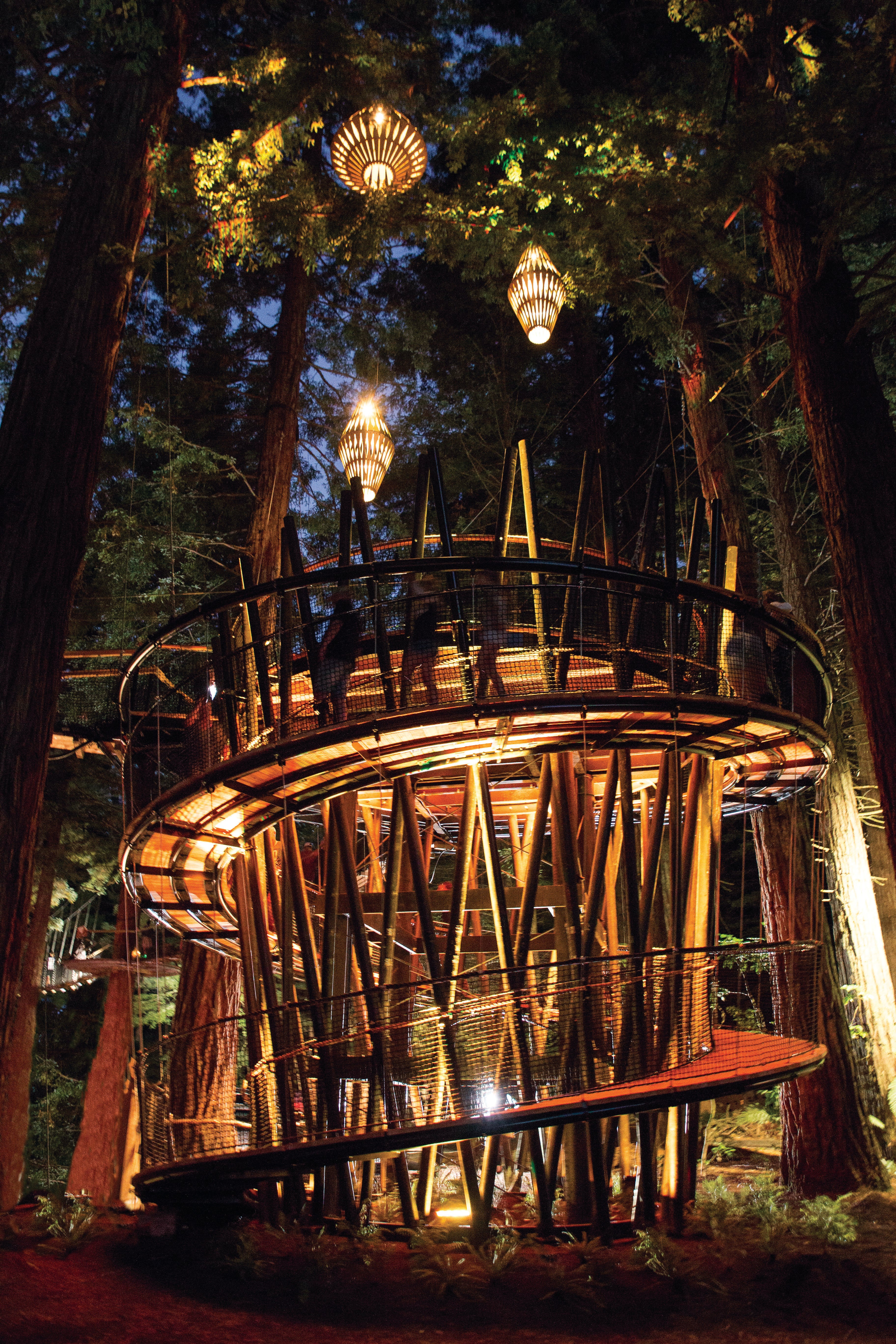 Rotorua Treewalk Spiral Ramp