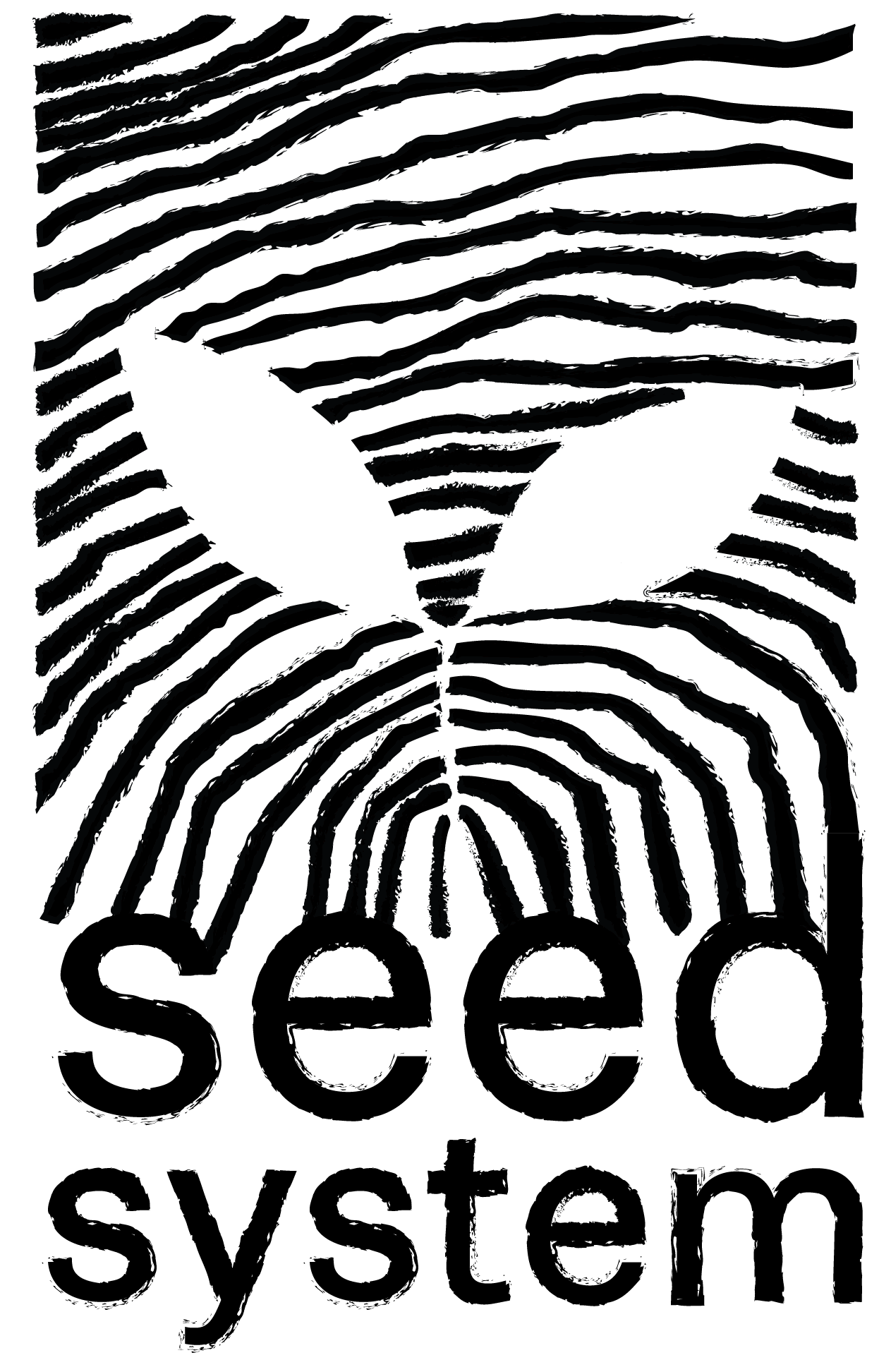 David Trubridge logo